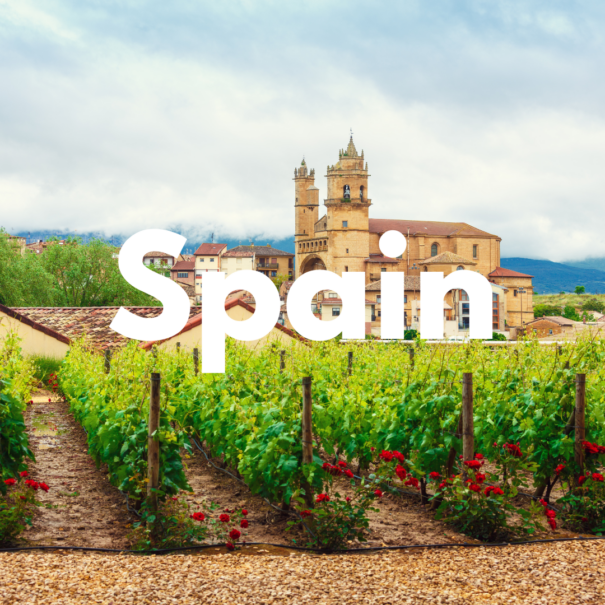 spanish rioja wine tour
