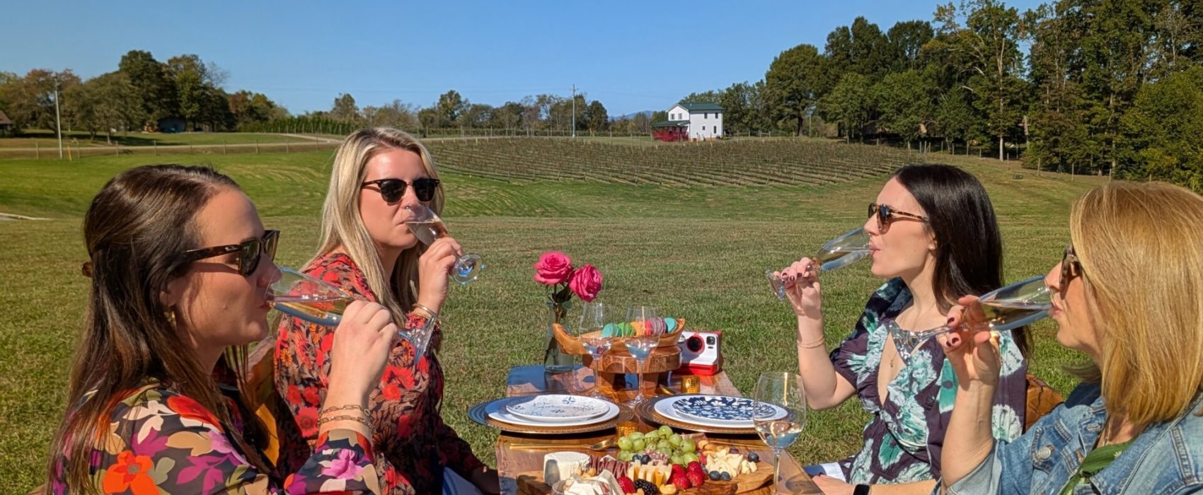 Charlotte vineyard picnics