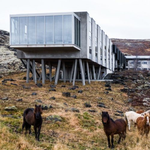 ion adventure Iceland summer 2026 ion adventure Iceland summer 2026